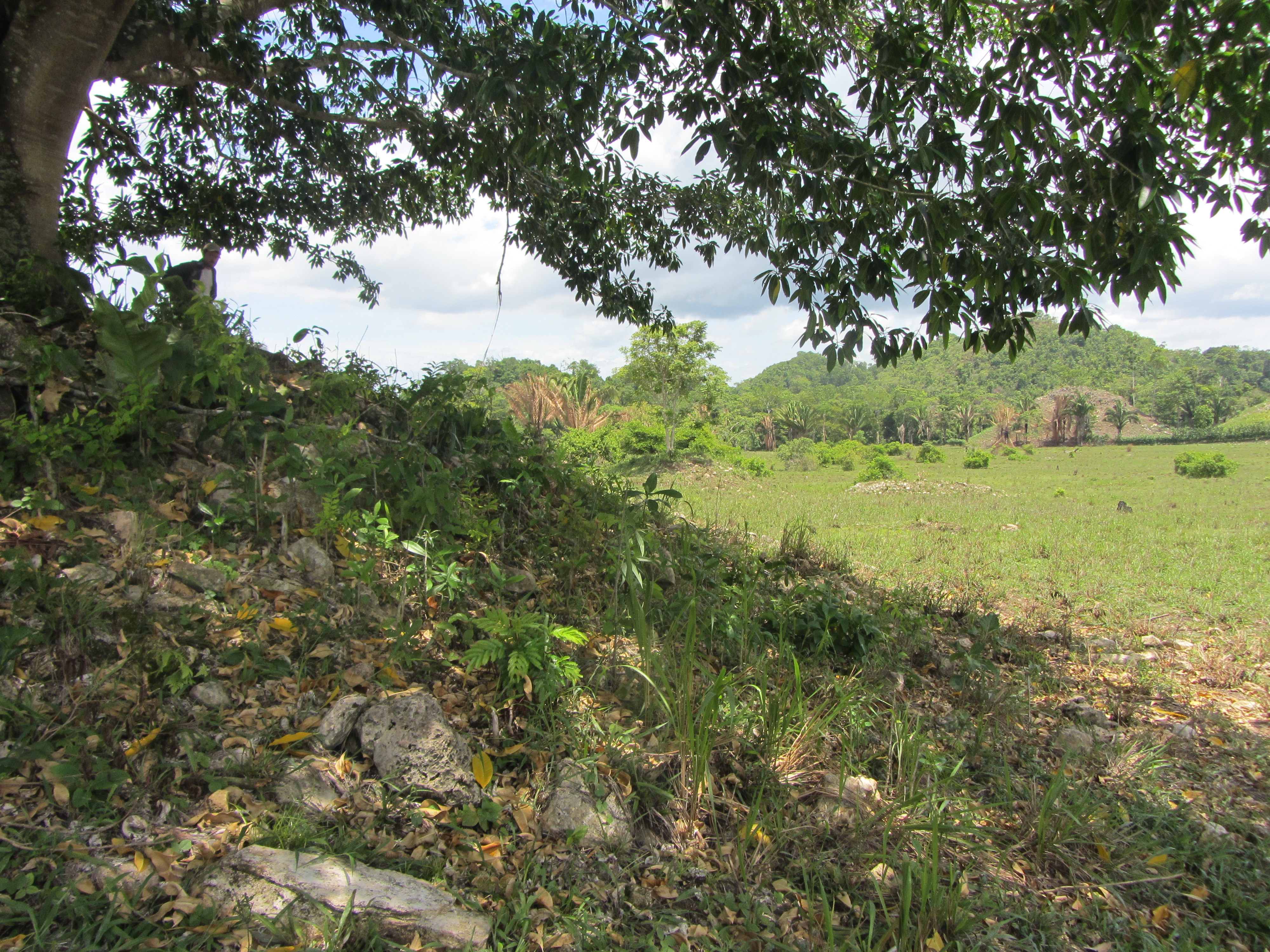 ruiner i landskabet La Macharona..JPG